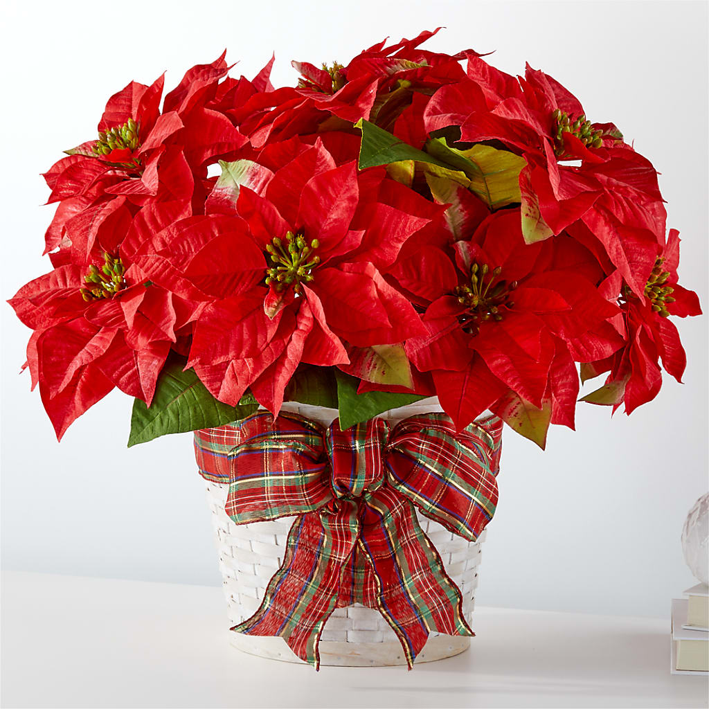 Happiest Holidays Poinsettia – Petal Palace, Lamesa TX