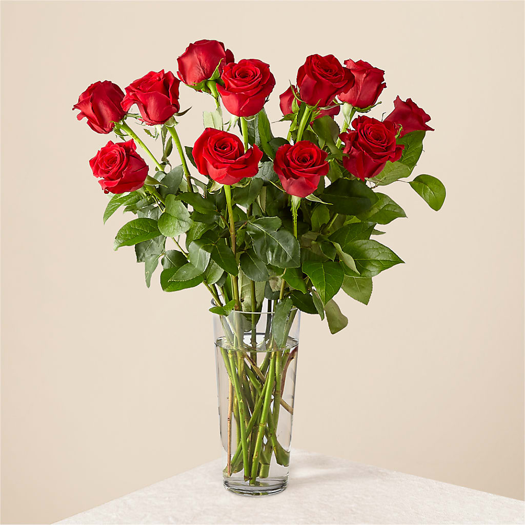 Long Stem Red Rose Bouquet – Petal Palace, Lamesa TX