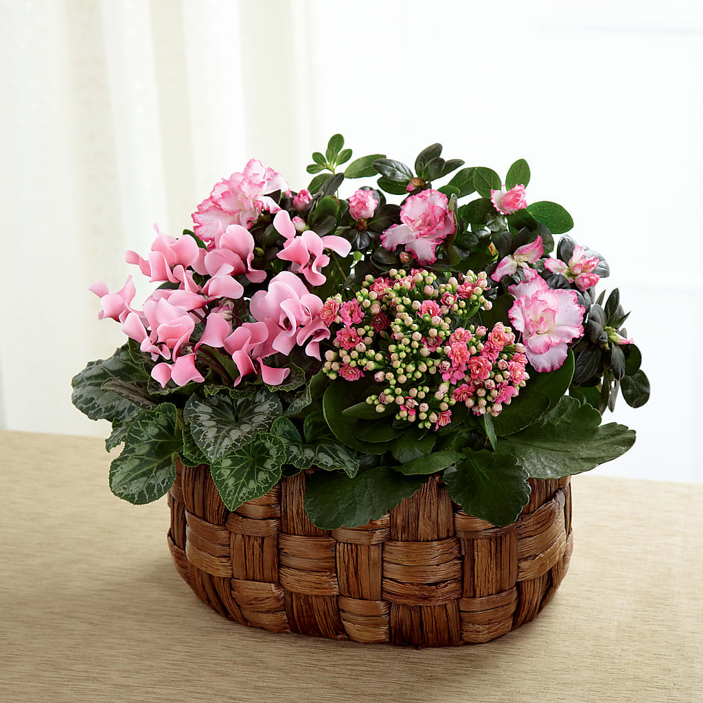 Pink Assortment – Petal Palace, Lamesa TX