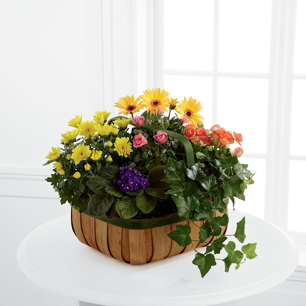 Gentle Blossoms Basket – Petal Palace, Lamesa TX