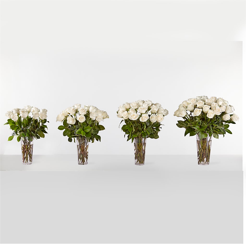 Long Stem White Rose Bouquet – Petal Palace, Lamesa TX