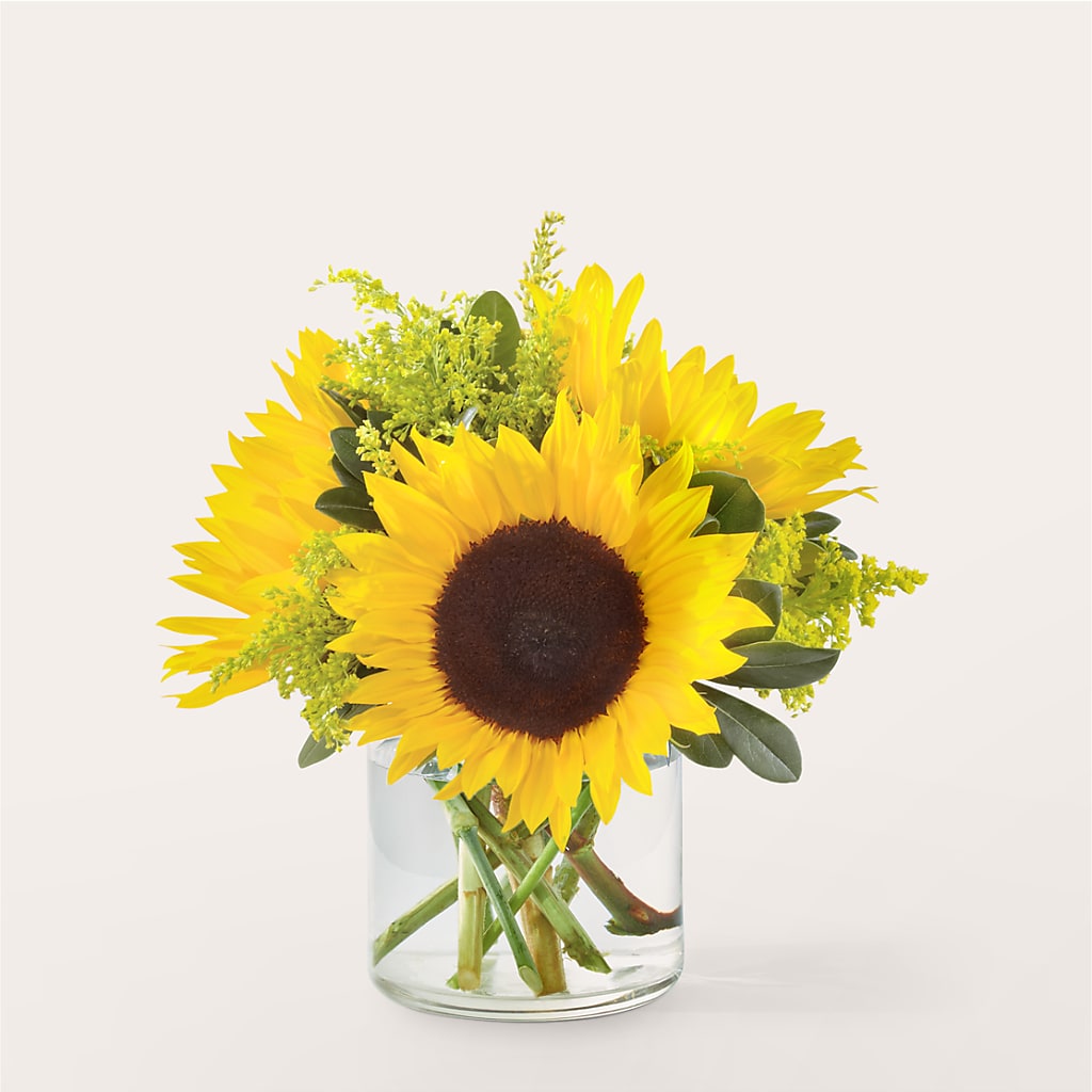 Beaming Sunflower Bouquet – Petal Palace, Lamesa TX