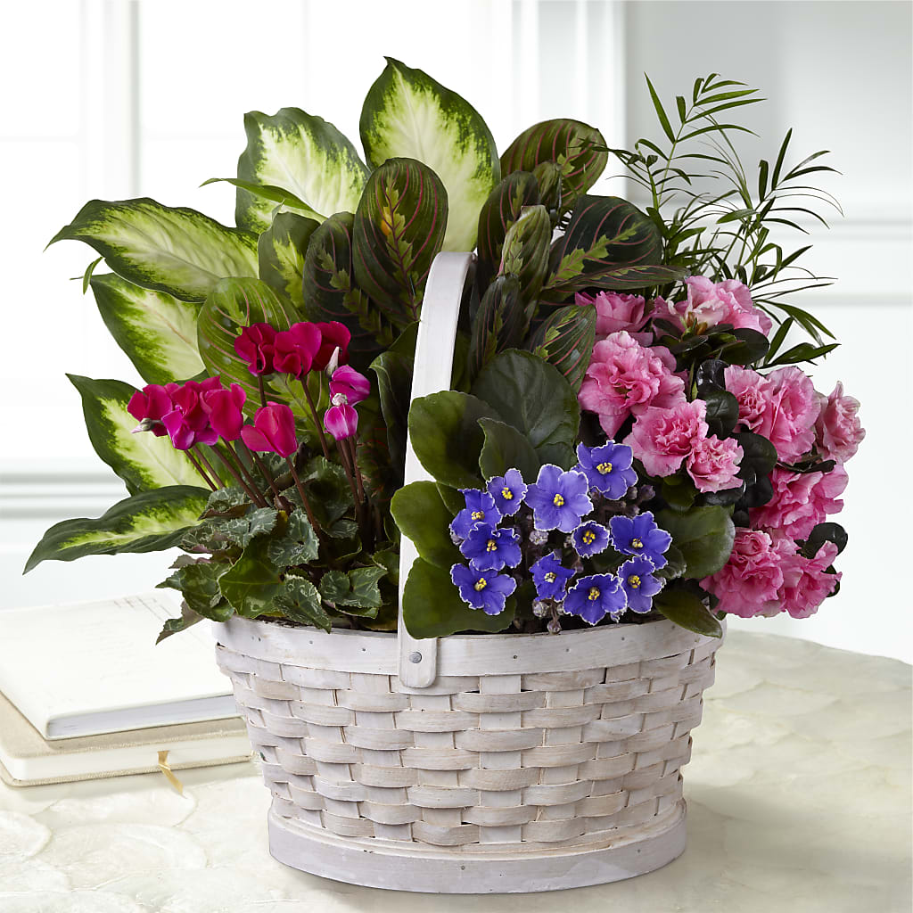 Peaceful Garden Planter – Petal Palace, Lamesa TX