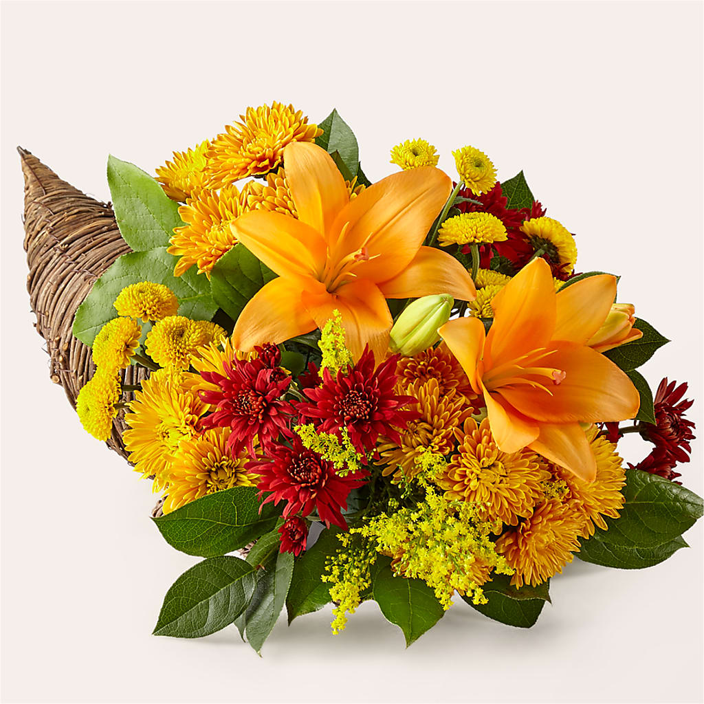 Feast of Color Cornucopia – Petal Palace, Lamesa TX