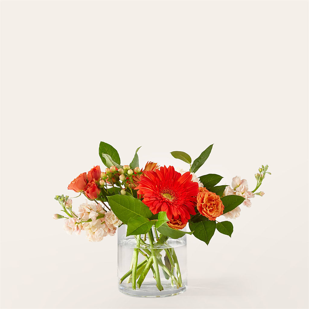 Paloma Please Bouquet – Petal Palace, Lamesa TX