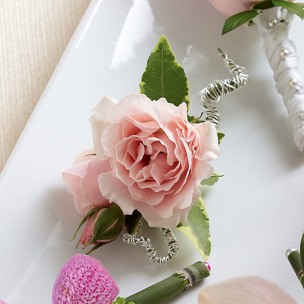 Pink Spray Rose Boutonniere – Petal Palace, Lamesa TX