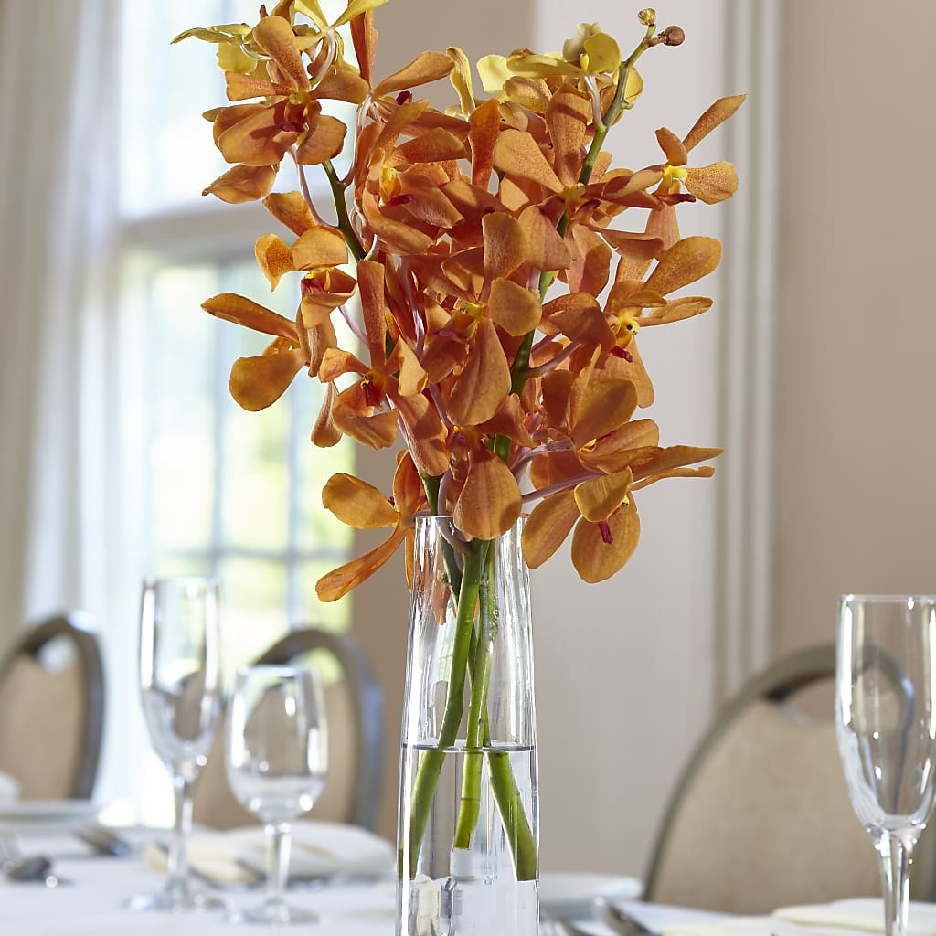 Orange Mokara Bud Vase – Petal Palace, Lamesa TX
