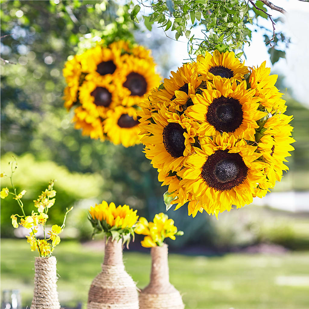 Sublime Garden Hanging Arrangement – Petal Palace, Lamesa TX