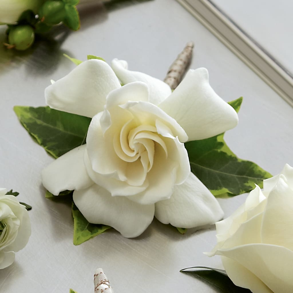 Gardenia Boutonniere – Petal Palace, Lamesa TX