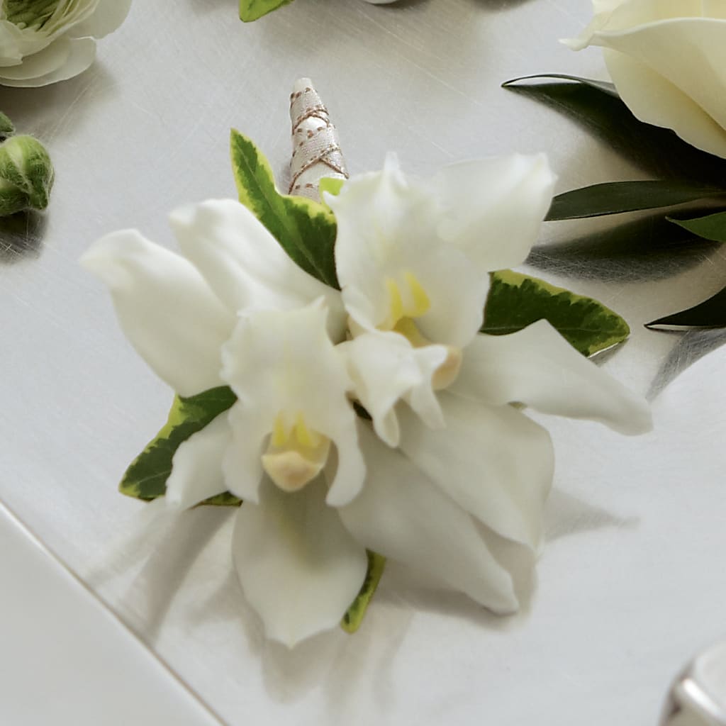 White Mini Cymbidium Boutonniere – Petal Palace, Lamesa TX