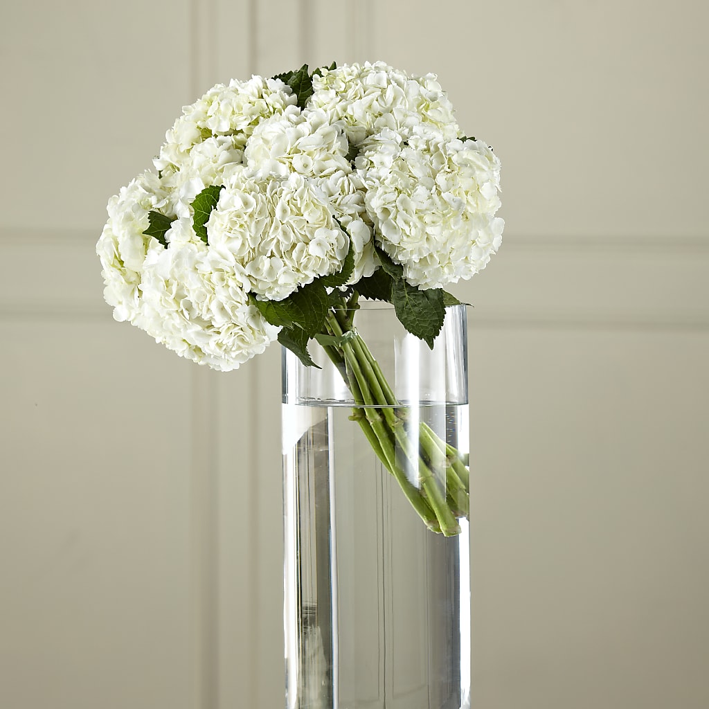 White Hydrangea Hand-Tied Bouquet – Petal Palace, Lamesa TX
