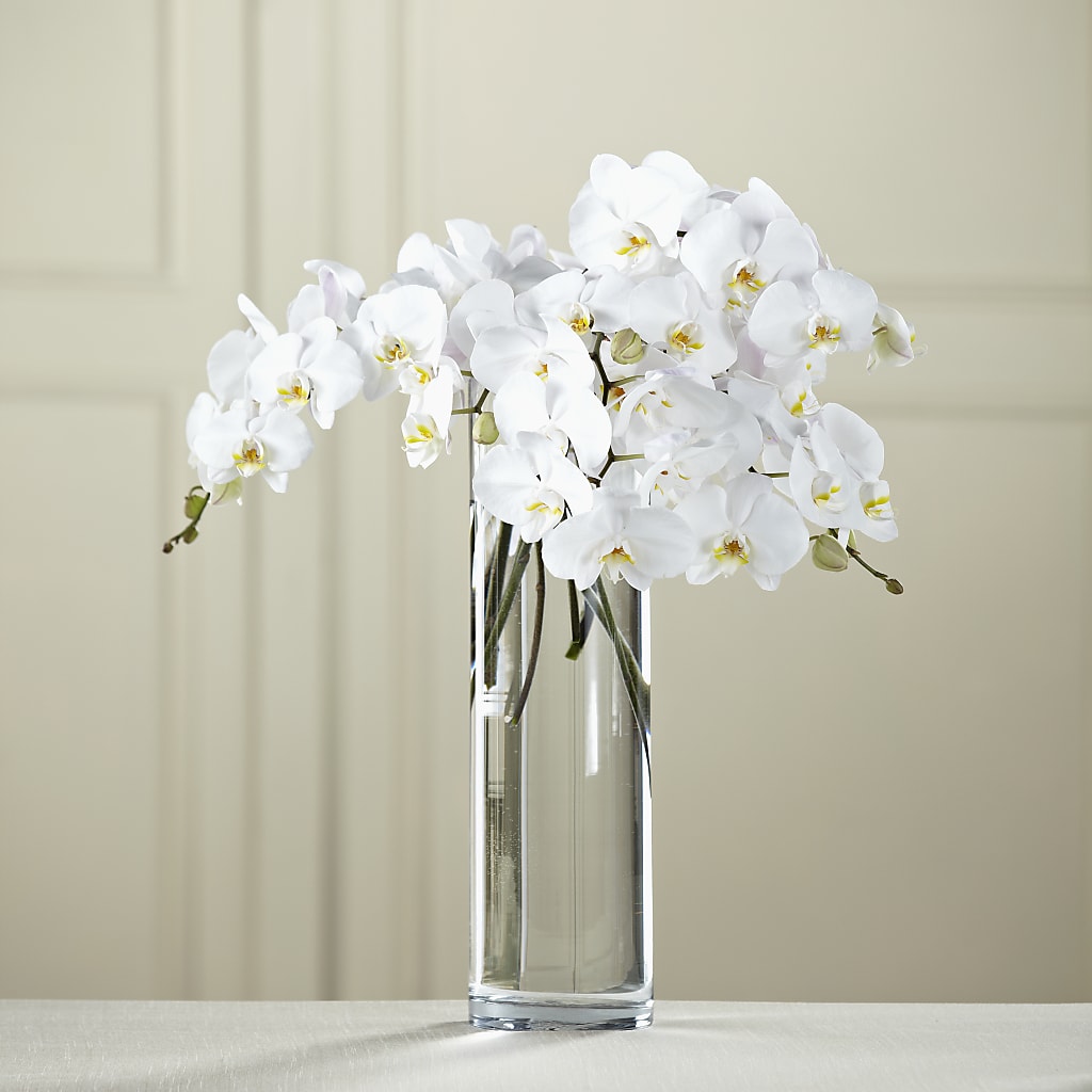 White Phalaenopsis Bouquet – Petal Palace, Lamesa TX