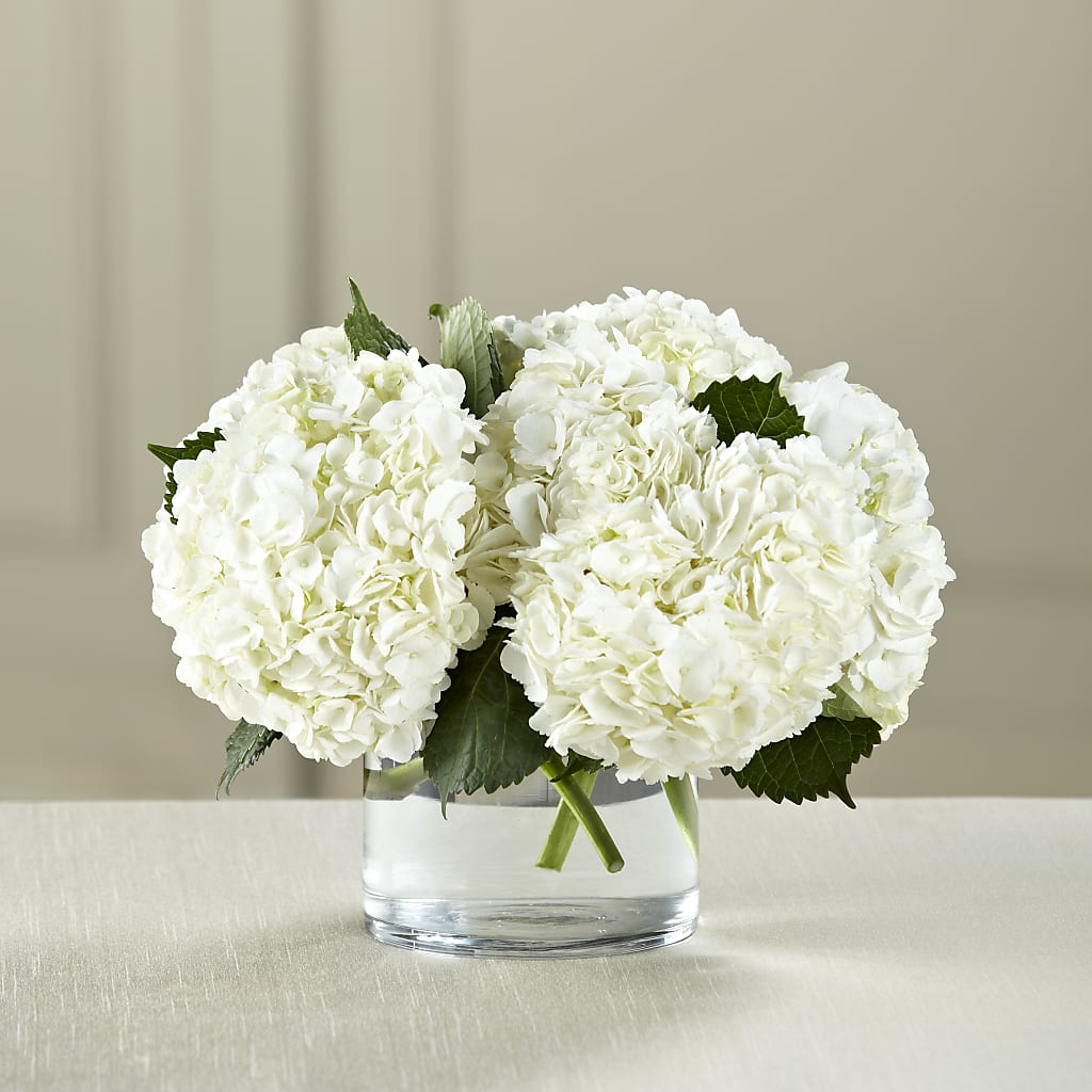 White Hydrangea Bouquet – Petal Palace, Lamesa TX