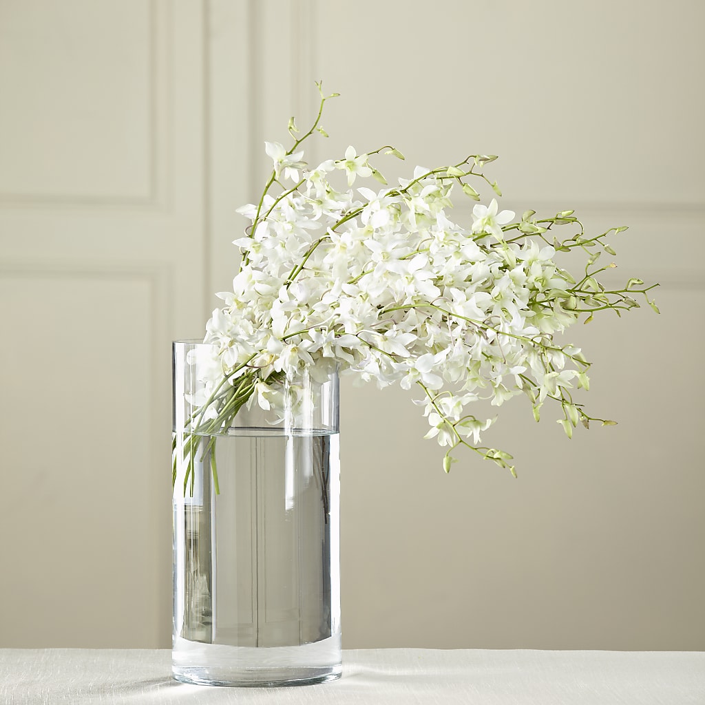 White Dendrobium Bouquet – Petal Palace, Lamesa TX