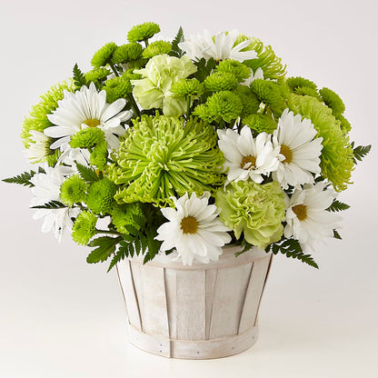 Lucky Charm Basket (Standard) –  Petal Palace, Lamesa TX