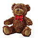 Adorable Plush Bear –  Petal Palace, Lamesa TX