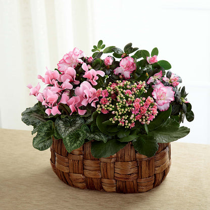 Pink Assortment –  Petal Palace, Lamesa TX
