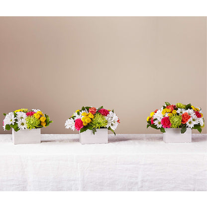 Sorbet Bouquet –  Petal Palace, Lamesa TX