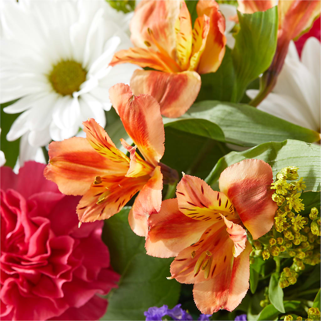 Oopsie Daisy Box Bouquet –  Petal Palace, Lamesa TX