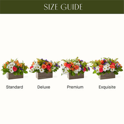 Oopsie Daisy Box Bouquet –  Petal Palace, Lamesa TX