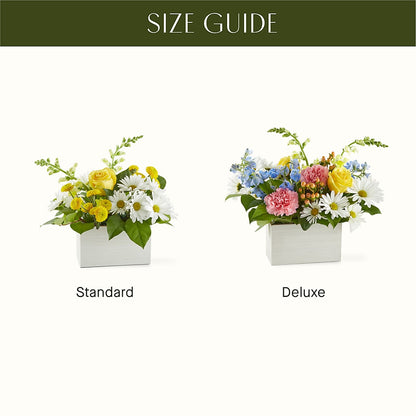 Sun Salutation Box Bouquet –  Petal Palace, Lamesa TX