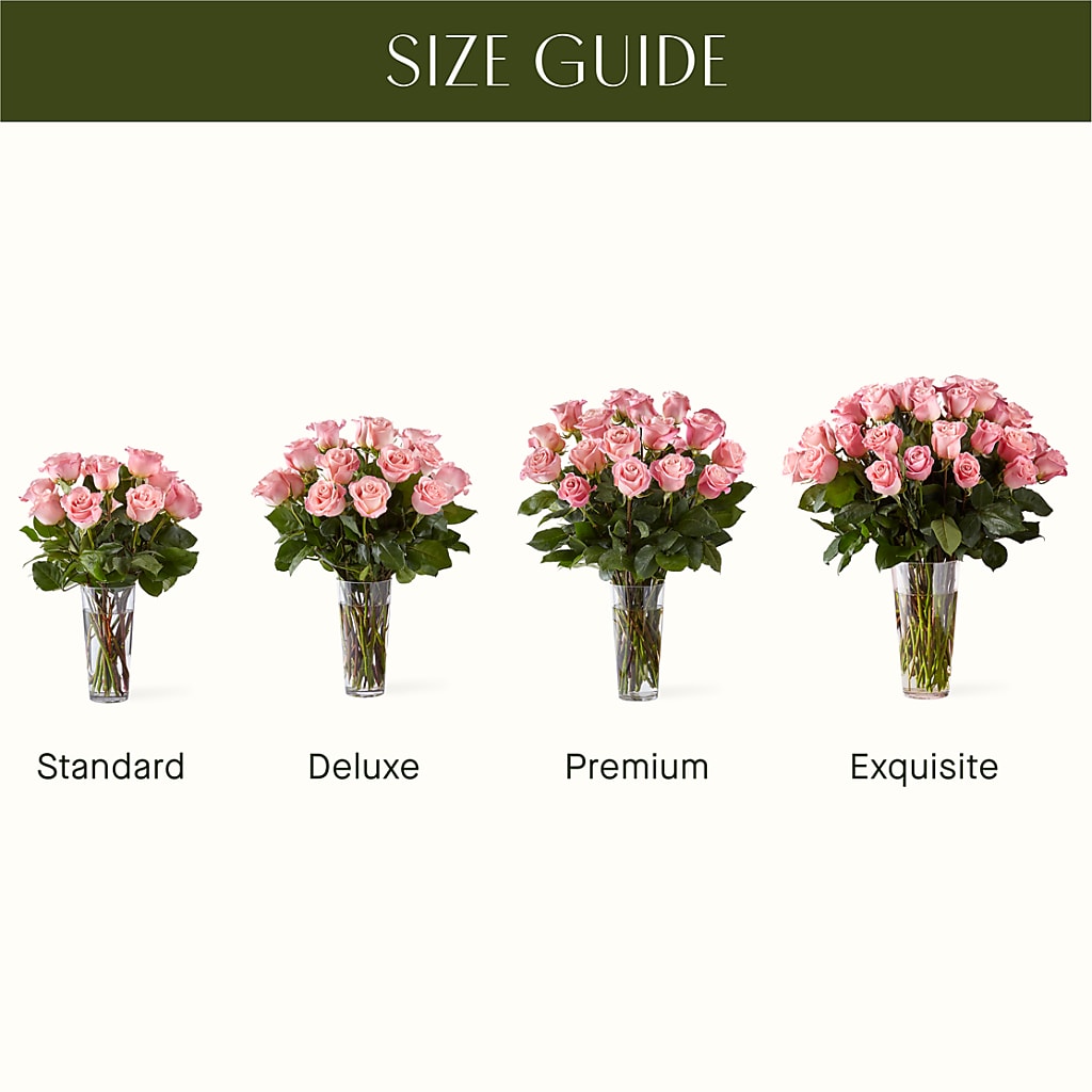 Long Stem Pink Rose Bouquet –  Petal Palace, Lamesa TX