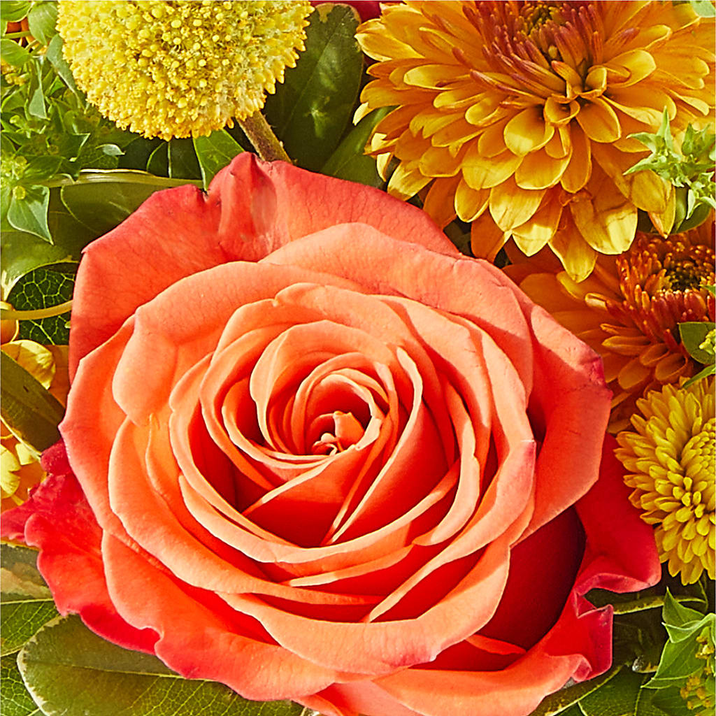 Gourdgeous Pumpkin –  Petal Palace, Lamesa TX