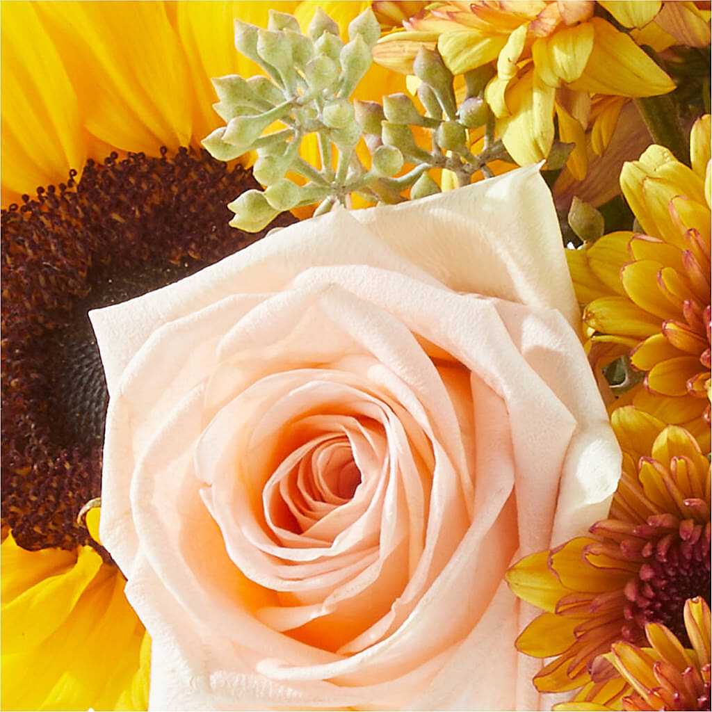 Pumpkin to Talk About Bouquet –  Petal Palace, Lamesa TX