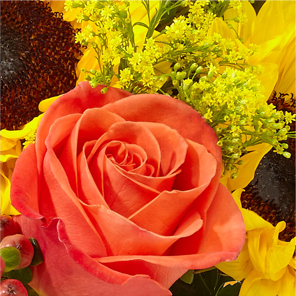 Pick of the Patch Pumpkin Bouquet –  Petal Palace, Lamesa TX
