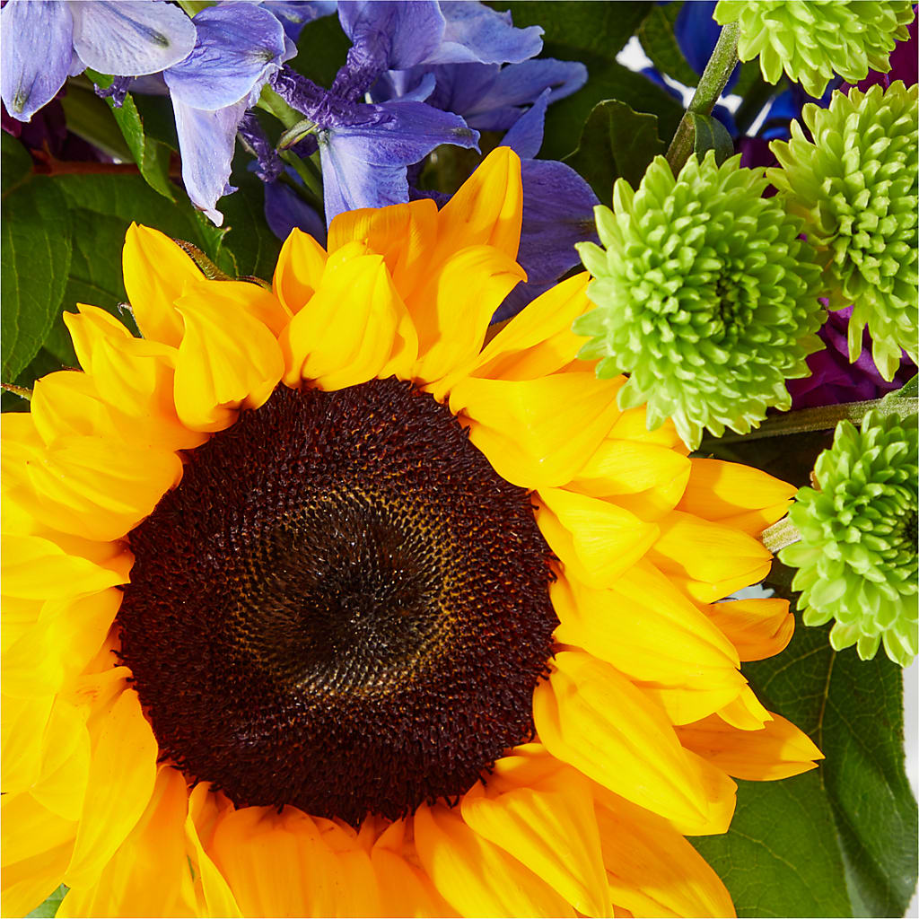 Catching Rays Bouquet –  Petal Palace, Lamesa TX