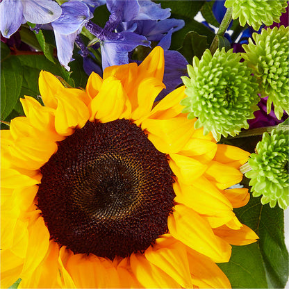 Catching Rays Bouquet –  Petal Palace, Lamesa TX
