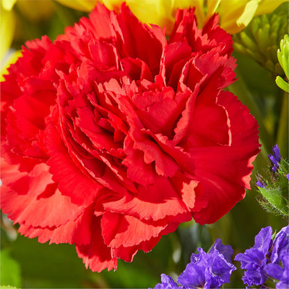 Brighter Days Bouquet –  Petal Palace, Lamesa TX