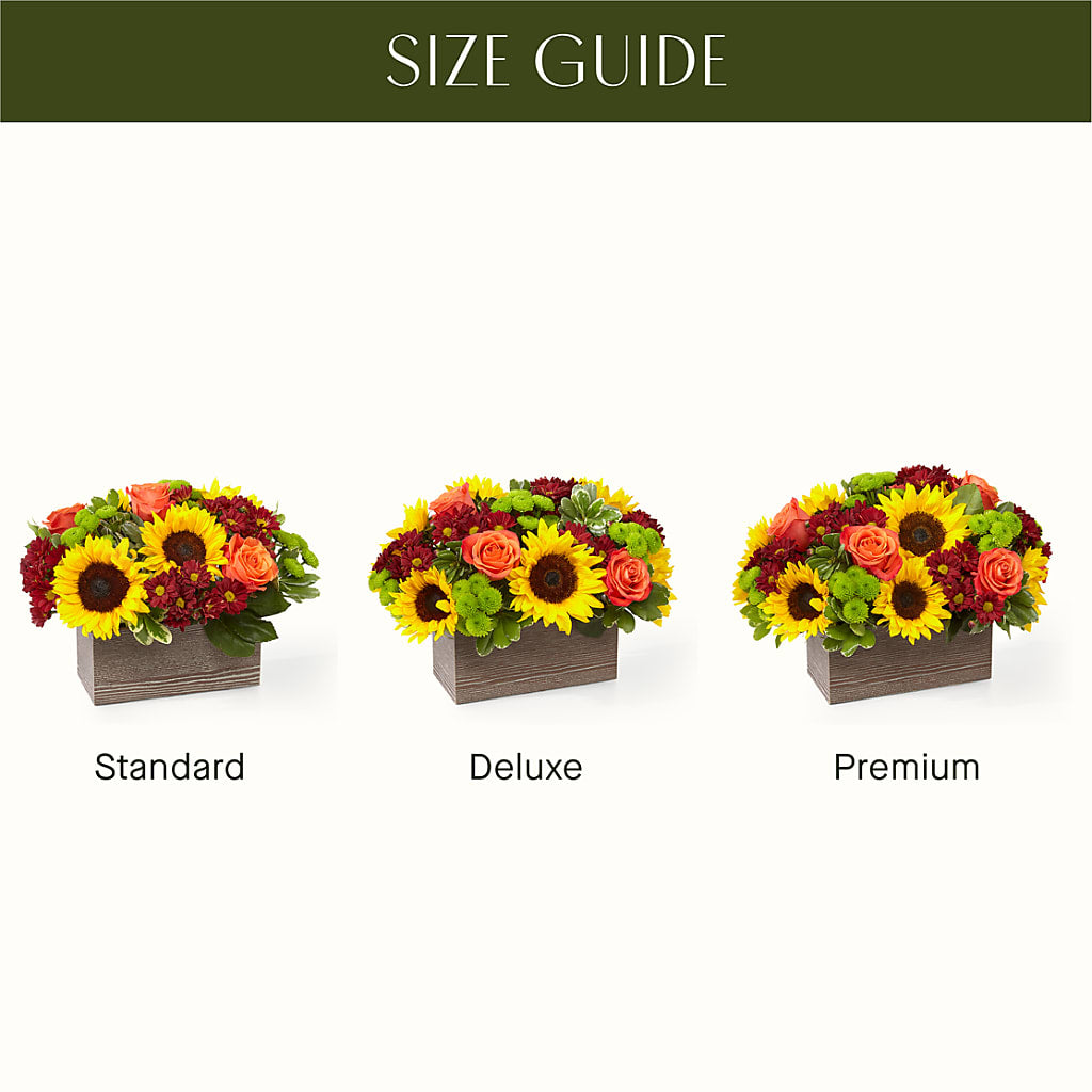 Happy Harvest Garden –  Petal Palace, Lamesa TX