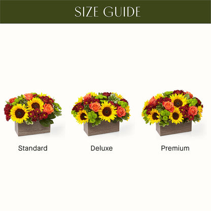 Happy Harvest Garden –  Petal Palace, Lamesa TX