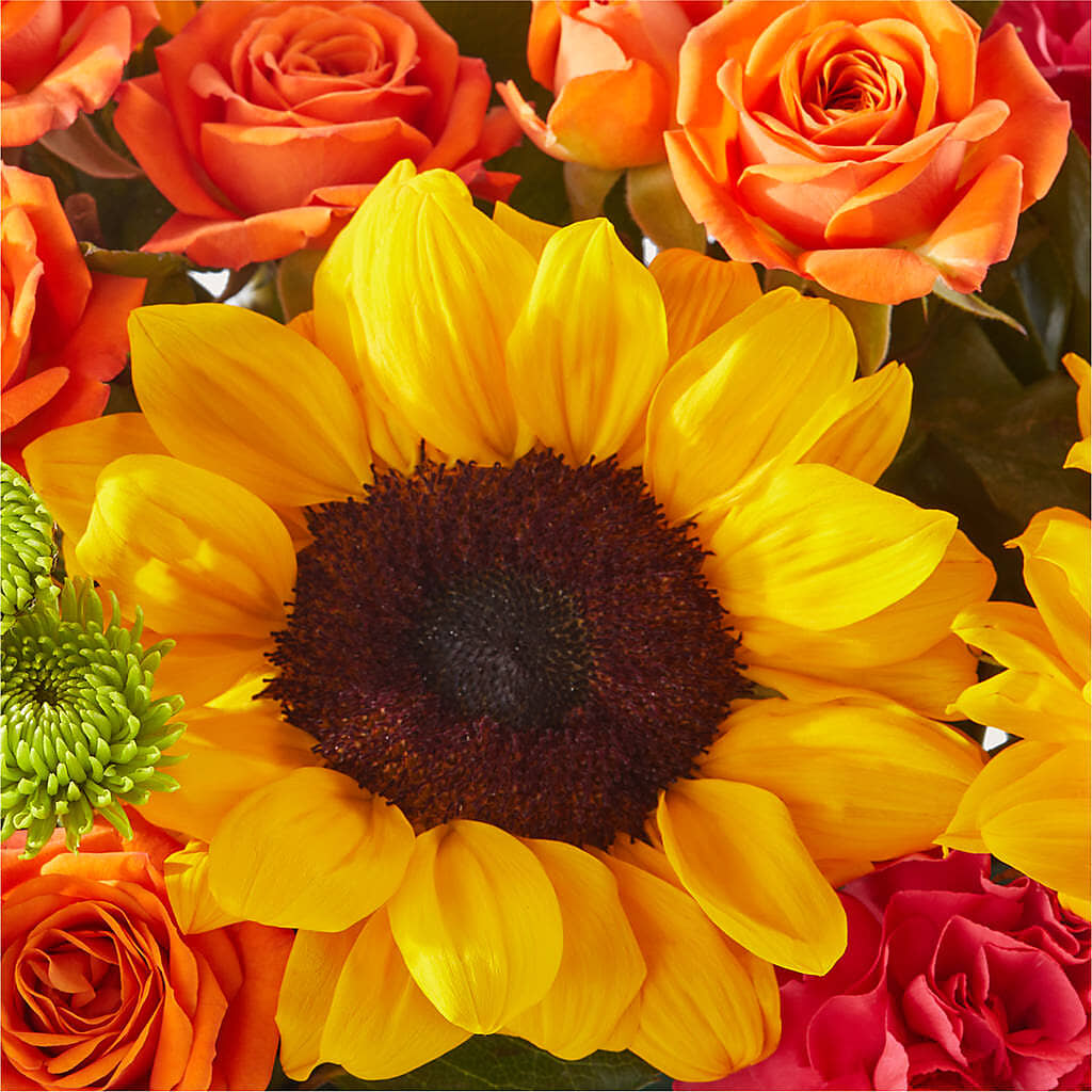Sun-drenched Blooms Box Bouquet –  Petal Palace, Lamesa TX