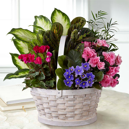 Peaceful Garden Planter –  Petal Palace, Lamesa TX