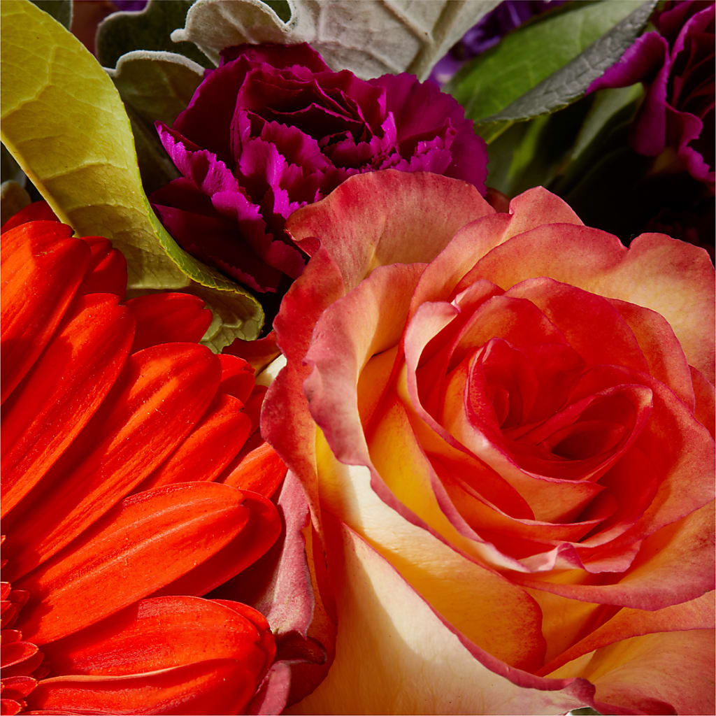 Sangria Bouquet –  Petal Palace, Lamesa TX