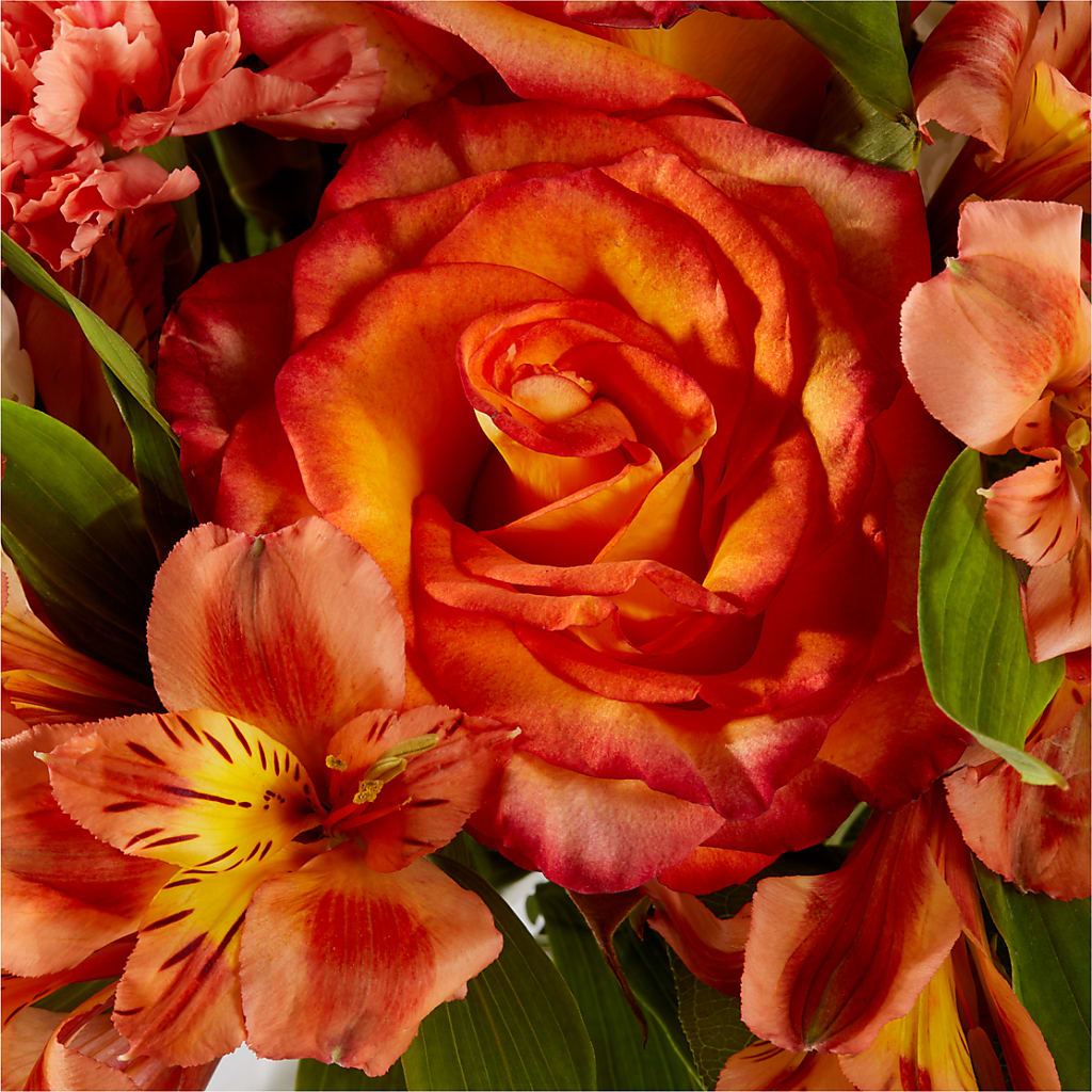 Apricot Glow Bouquet –  Petal Palace, Lamesa TX
