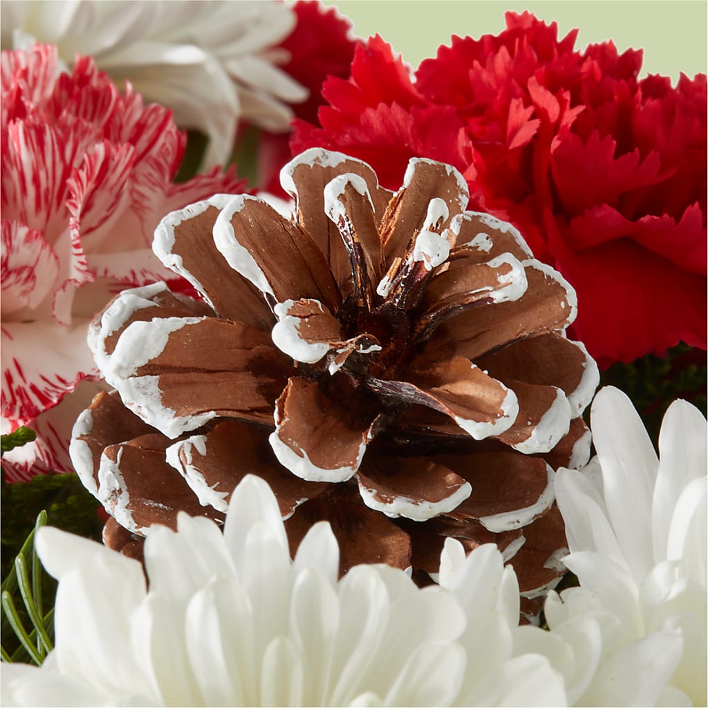 Candy Cane Lane Bouquet –  Petal Palace, Lamesa TX