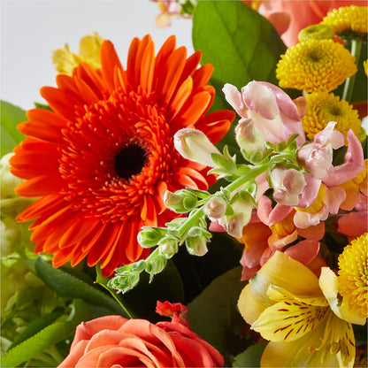 Autumn Sunshine Bouquet –  Petal Palace, Lamesa TX