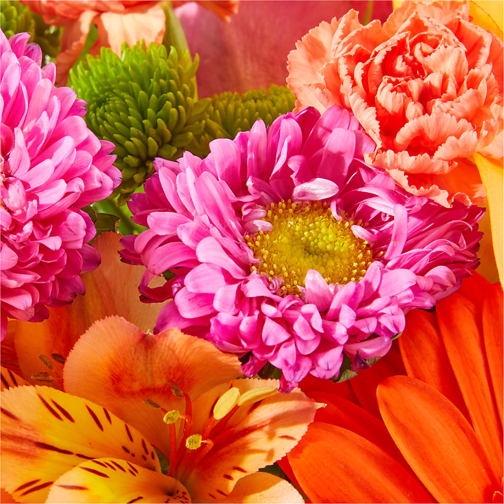 Soiree Bouquet –  Petal Palace, Lamesa TX