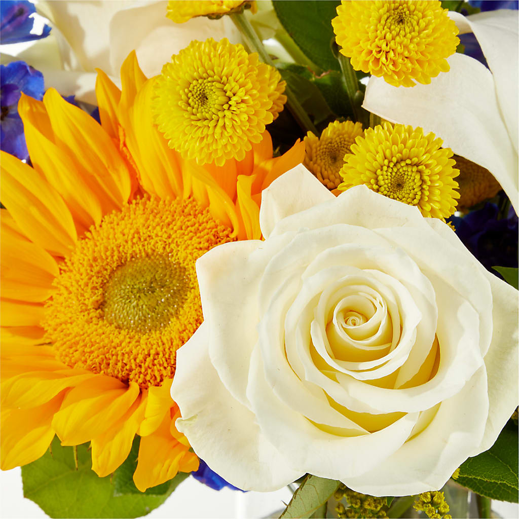 Stargazing Bouquet –  Petal Palace, Lamesa TX