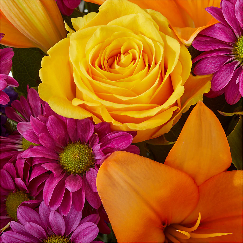 Colorful Visions Bouquet –  Petal Palace, Lamesa TX