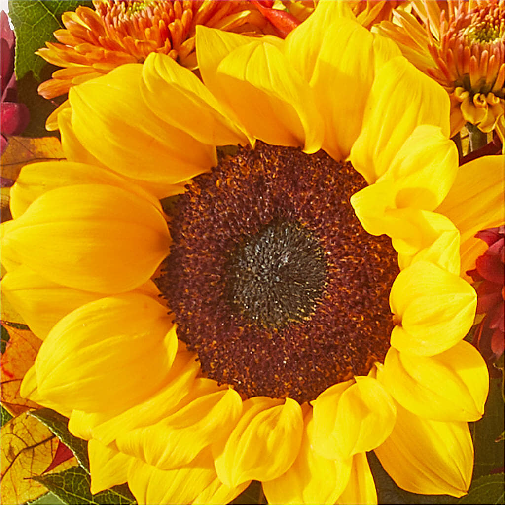 Sunny Side Bouquet –  Petal Palace, Lamesa TX