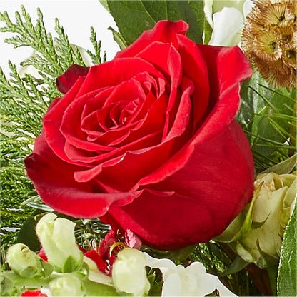 Deck the Halls Bouquet –  Petal Palace, Lamesa TX
