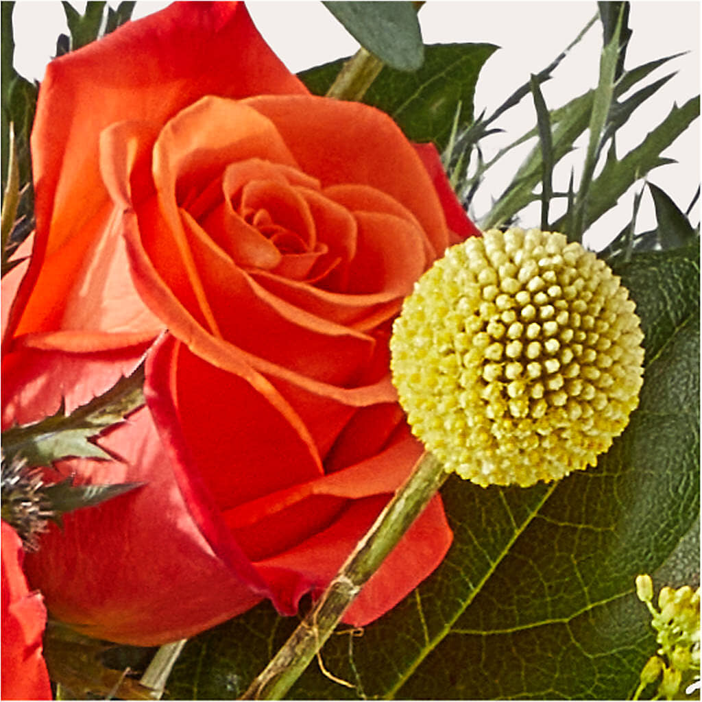 Disco Bouquet –  Petal Palace, Lamesa TX