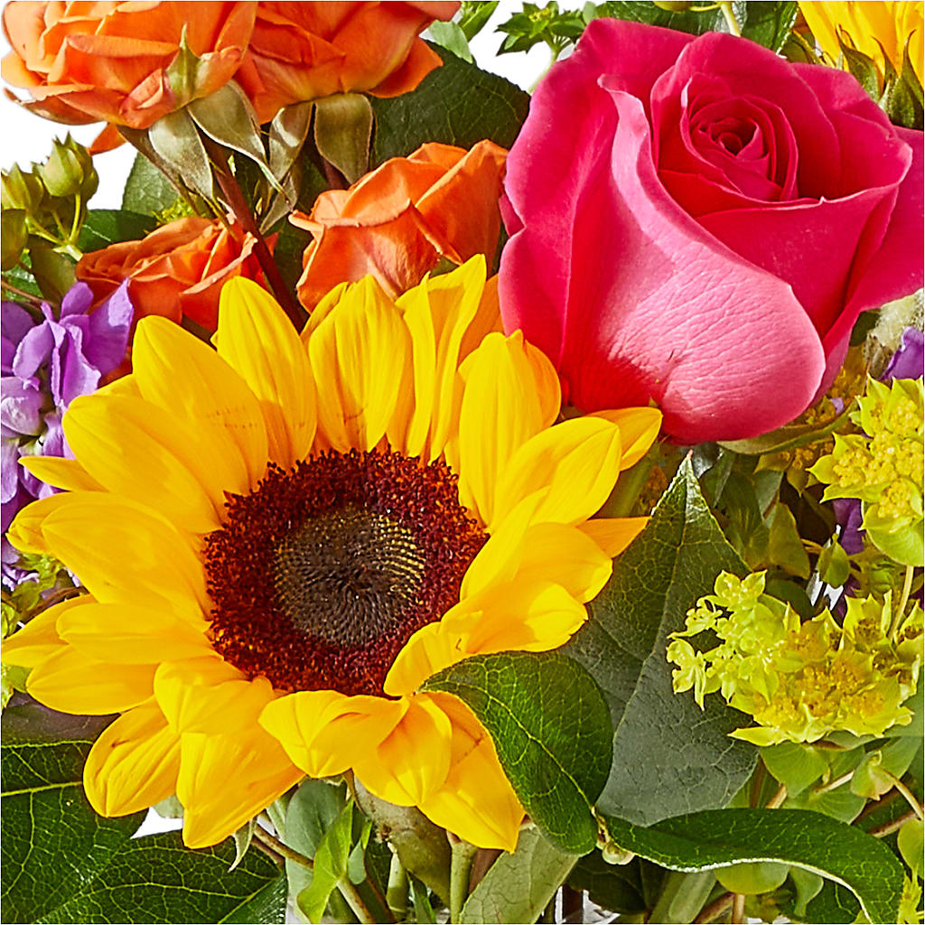 Vibrant Greetings Bouquet –  Petal Palace, Lamesa TX