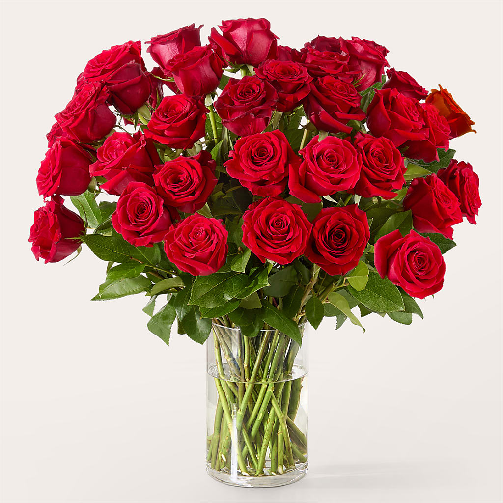 The One Red Rose Bouquet –  Petal Palace, Lamesa TX