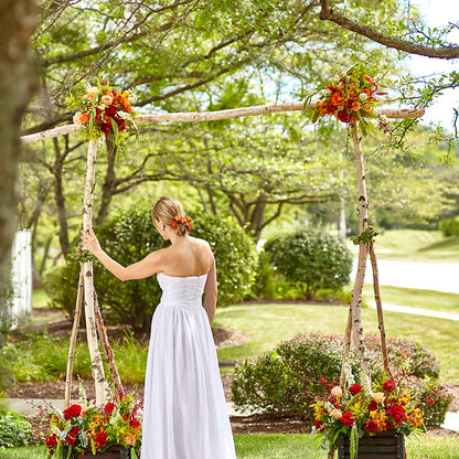 Arbor of Love Archway –  Petal Palace, Lamesa TX