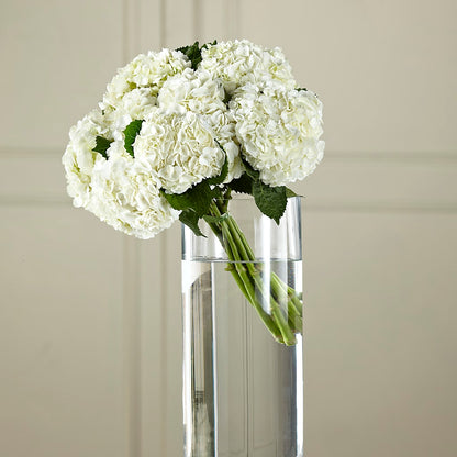 White Hydrangea Hand-Tied Bouquet –  Petal Palace, Lamesa TX